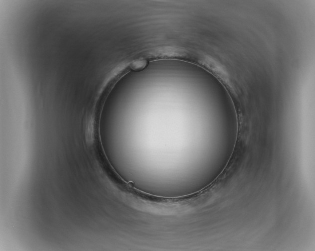 X0000110690012200906121235