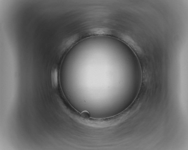 X0000110690014200906121235