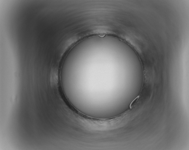 X0000110690015200906121235