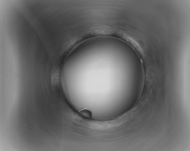 X0000110690017200906121235