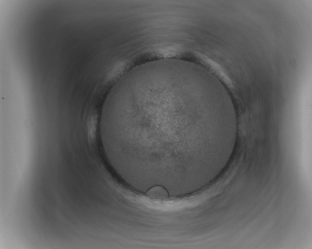 X0000110690018200906121235