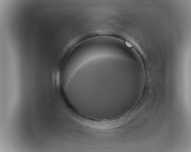 X0000110690019200906121235