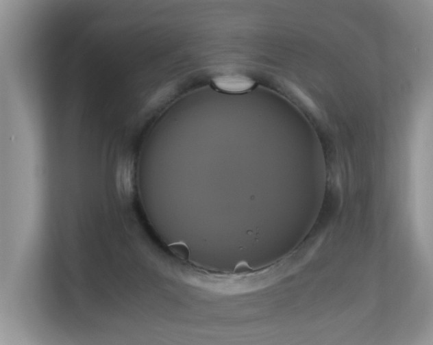 X0000110690023200906121235