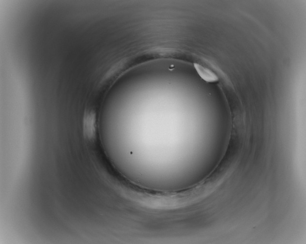 X0000110690024200906121235