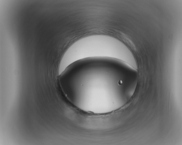 X0000110690025200906121235