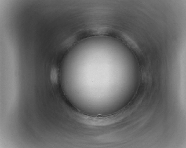 X0000110690026200906121235