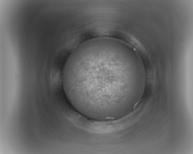 X0000110690029200906121235