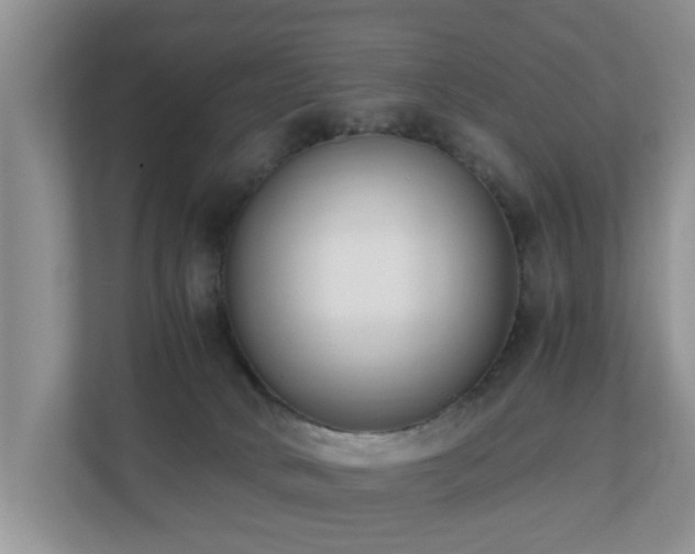 X0000110690034200906121235