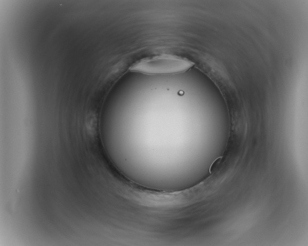 X0000110690036200906121235