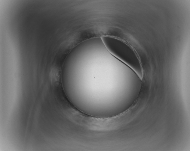 X0000110690037200906121235