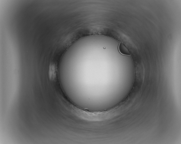 X0000110690038200906121235