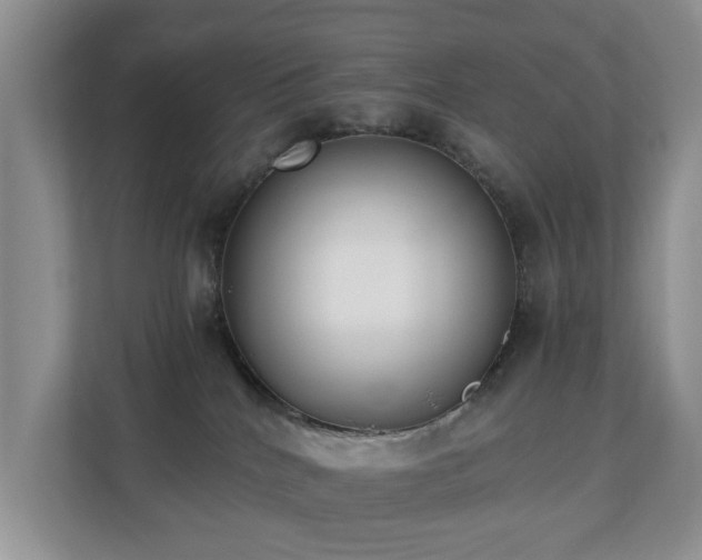 X0000110690040200906121235