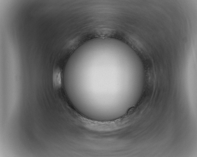 X0000110690042200906121235