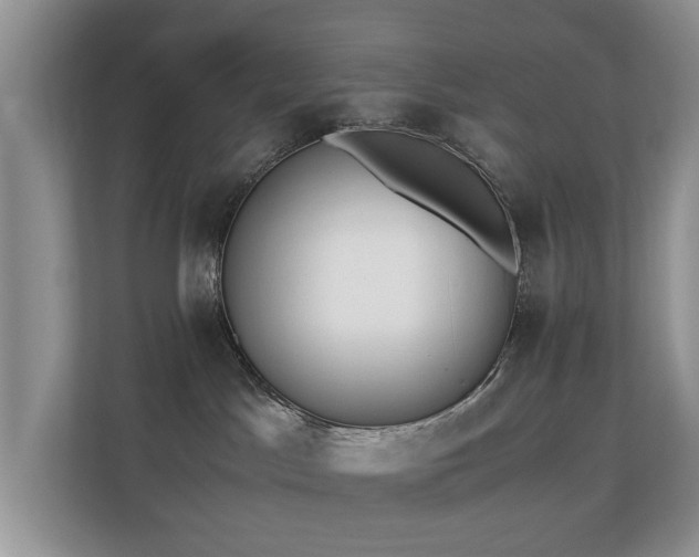 X0000110690045200906121235