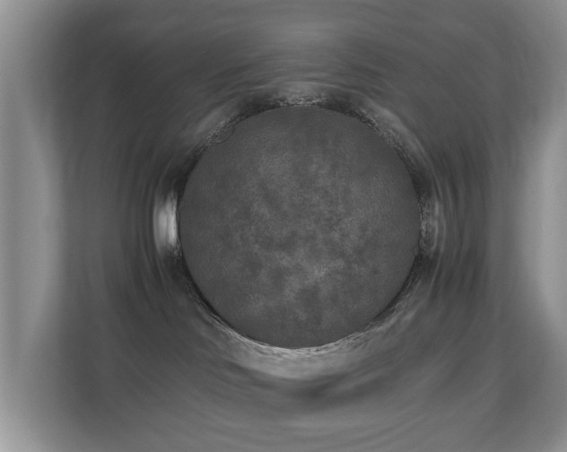 X0000110690046200906121235