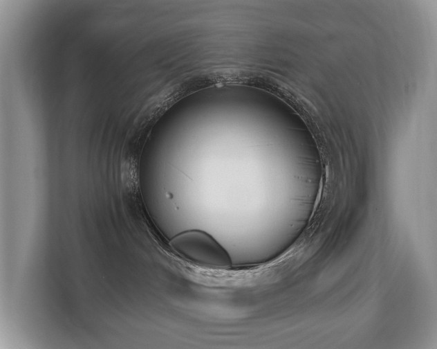 X0000110690048200906121234