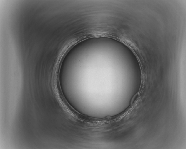 X0000110690049200906121234