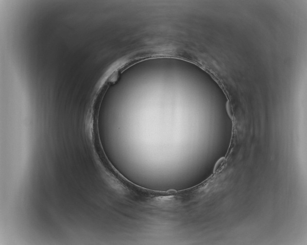 X0000110690054200906121234