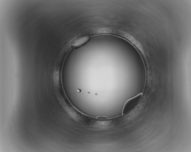 X0000110690057200906121234