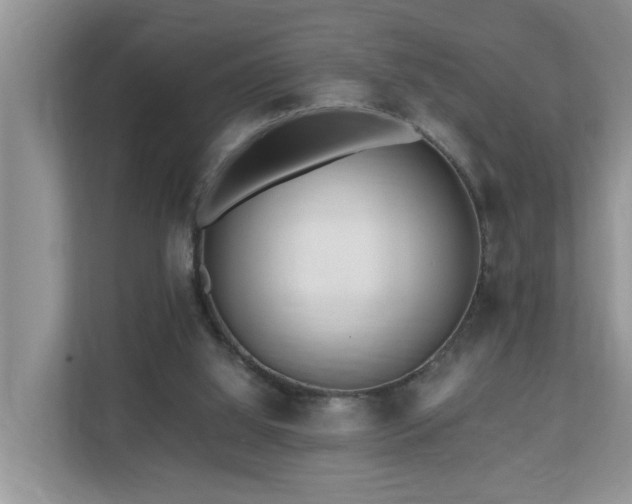 X0000110690060200906121234