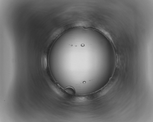 X0000110690061200906121234