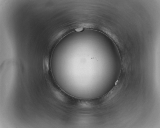 X0000110690062200906121234