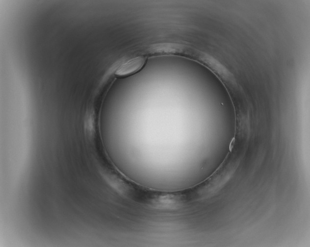 X0000110690064200906121234