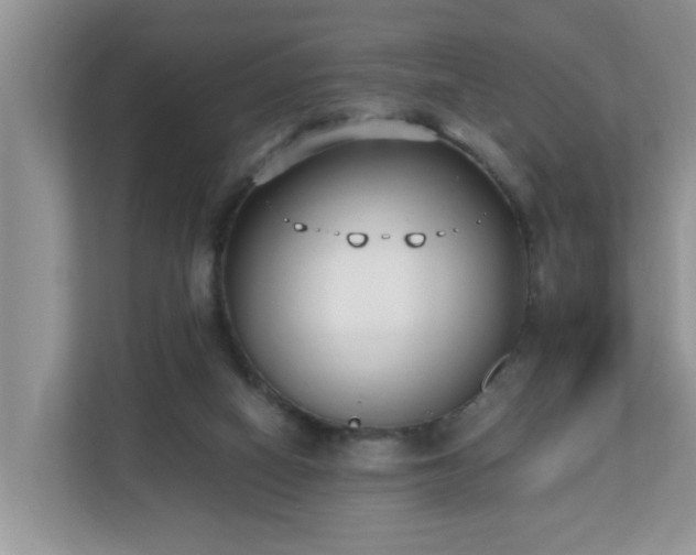 X0000110690066200906121234