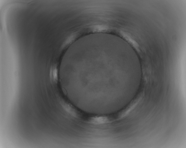 X0000110690067200906121234