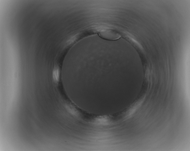 X0000110690076200906121234