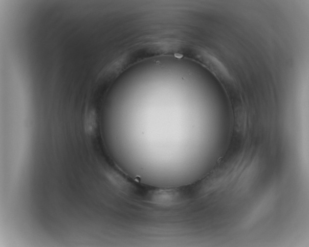 X0000110690077200906121234