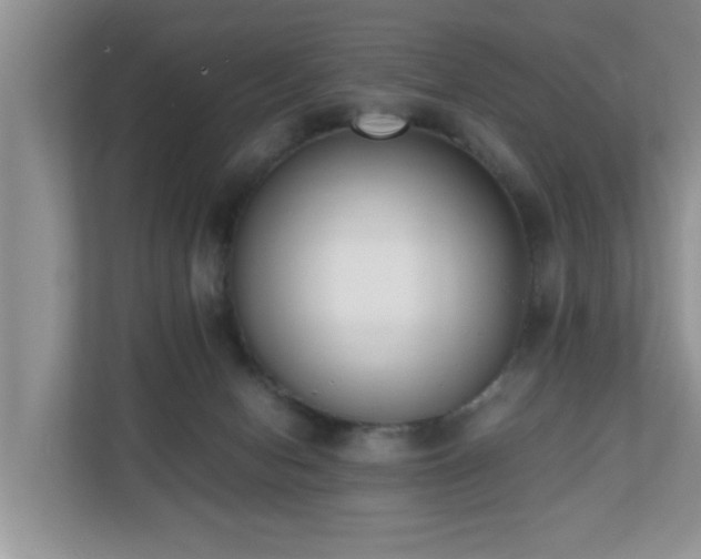 X0000110690078200906121234