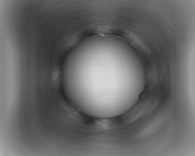 X0000110690079200906121234