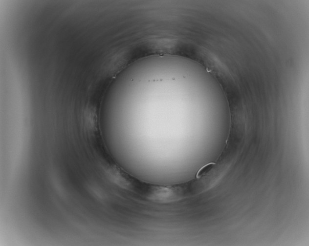 X0000110690083200906121234