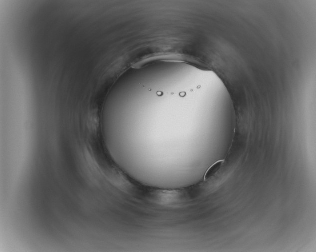 X0000110690085200906121234