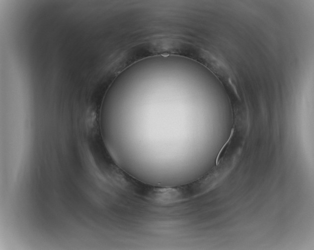 X0000110690087200906121234