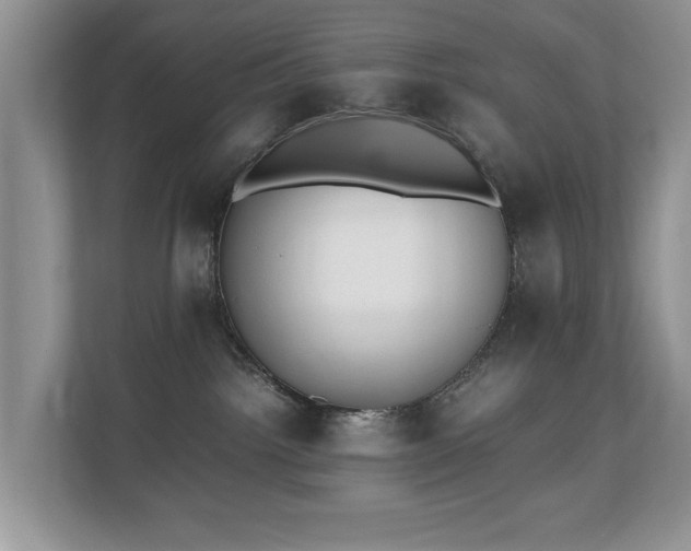 X0000110690092200906121234