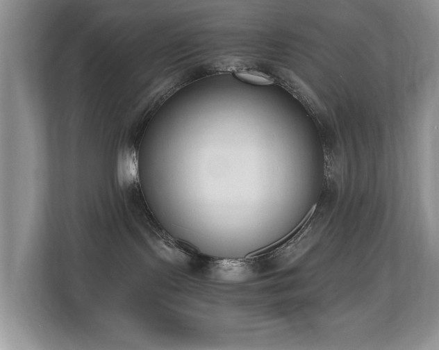 X0000110690095200906121234