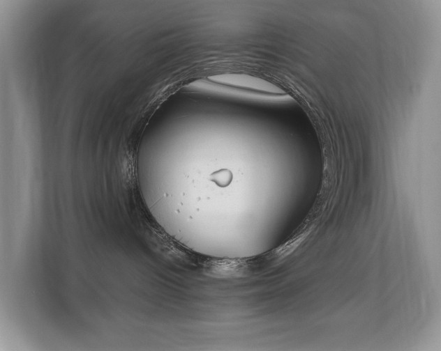 X0000110690096200906121234