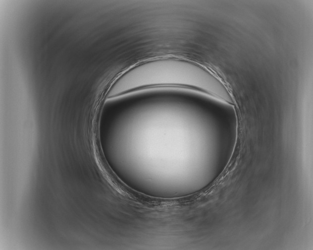 X0000110690097200906121234