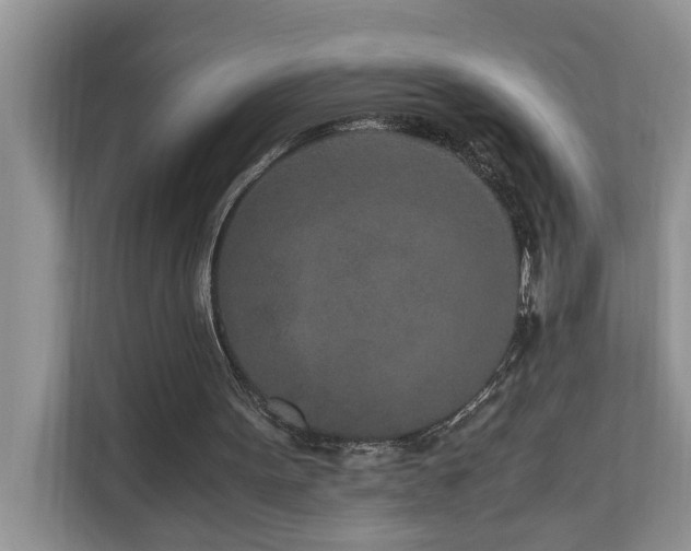 X0000110690099200906121234