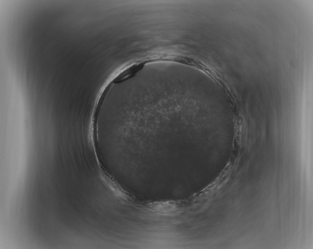 X0000110690100200906121234