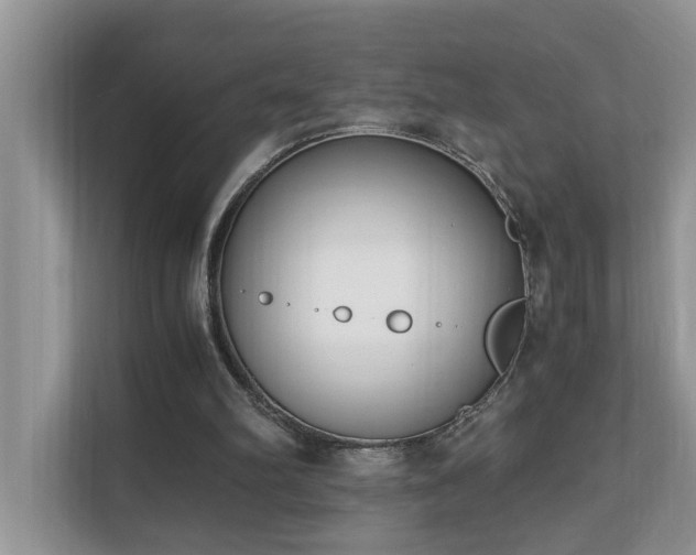 X0000110690102200906121234