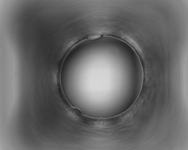 X0000110690105200906121234