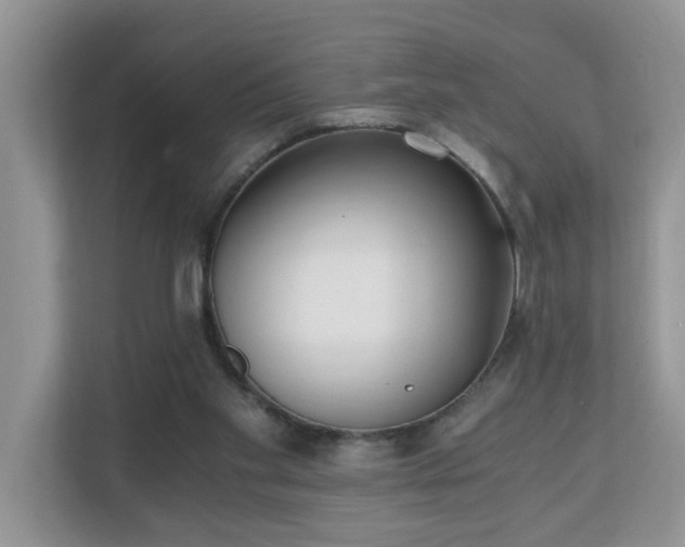 X0000110690109200906121234