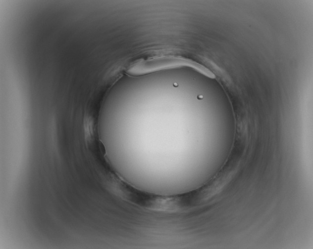 X0000110690117200906121234