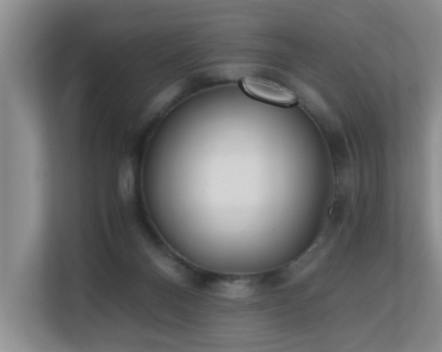 X0000110690120200906121234