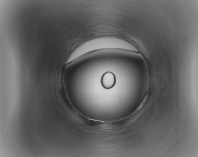 X0000110690121200906121234