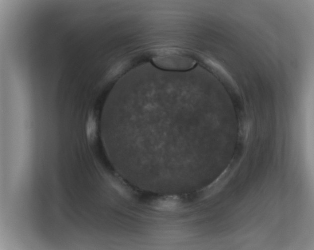 X0000110690124200906121233