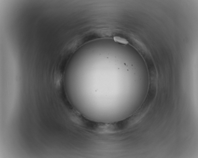 X0000110690125200906121233